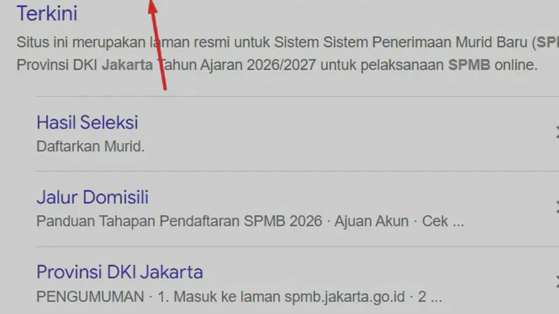 Hasil SPMB 2026 Belum Muncul? Ini Penyebab dan Cara Mengeceknya
