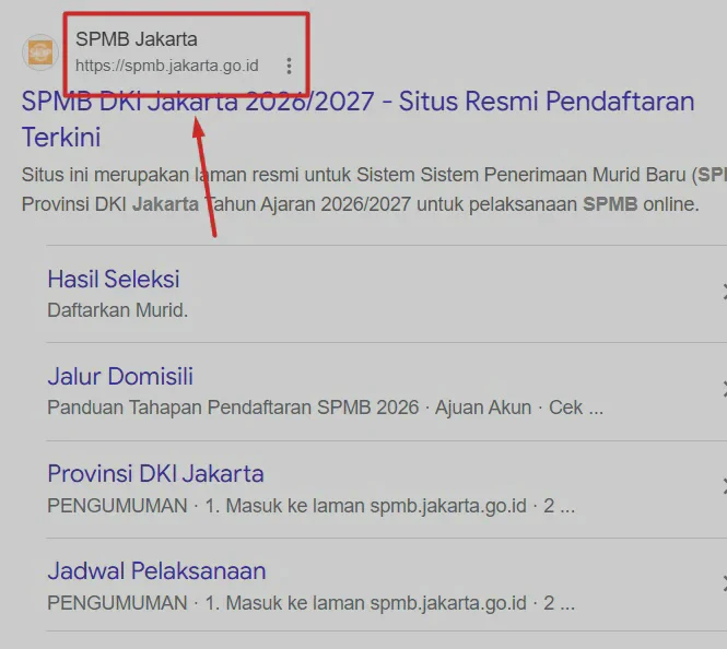 Hasil SPMB 2026 Belum Muncul? Ini Penyebab dan Cara Mengeceknya