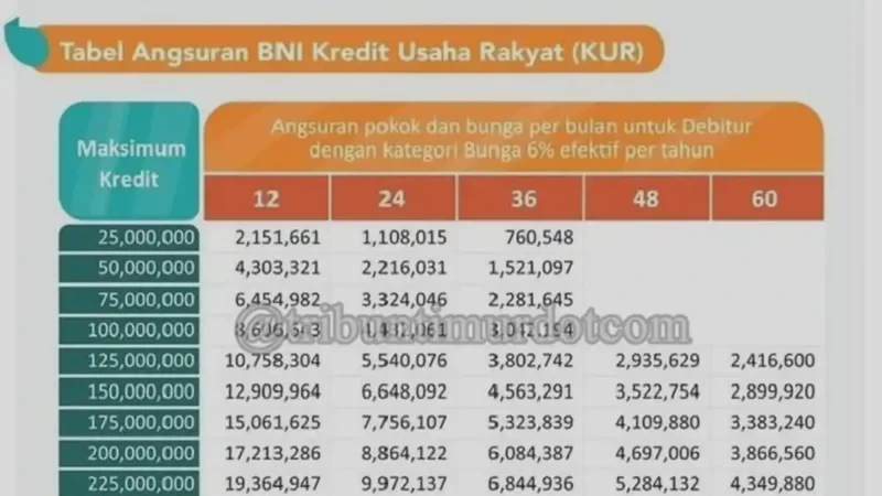 Cara Daftar KUR BNI 2026 Online Mudah Lengkap dengan Syarat Terbaru