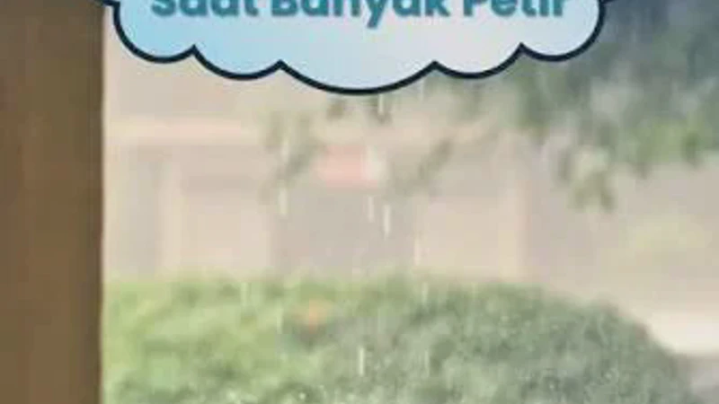 Waspada Musim Hujan, Begini Cara Lindungi Barang Elektronik dari Sambaran Petir Agar Tidak Rusak
