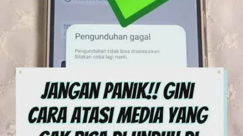 Solusi WhatsApp Tidak Bisa Download Media Foto dan Video yang Error